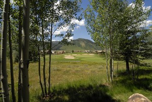 181 Fairway_36 back view add