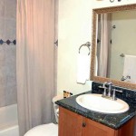 Guest bath Guest bath