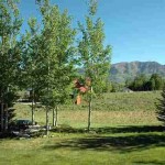 View across back yard View across back yard